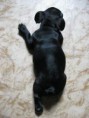 /album/fotogaleria/img-0610-3-jpg/